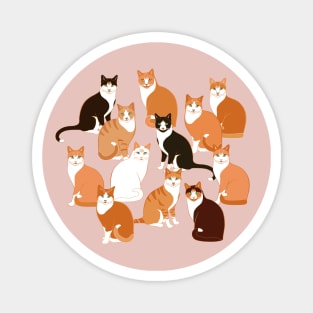 Ginger Cats on pink Magnet